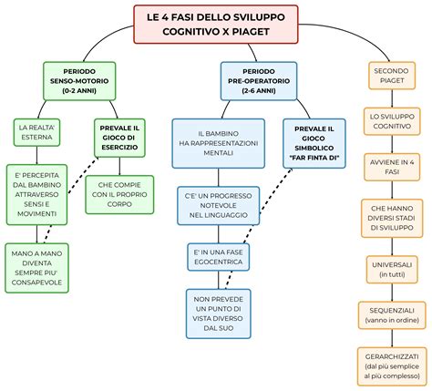 Quali sono gli stadi di sviluppo di Piaget da quello .